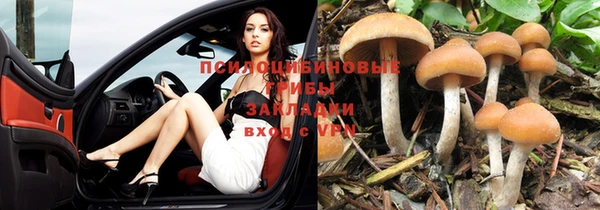 кристаллы Ладушкин