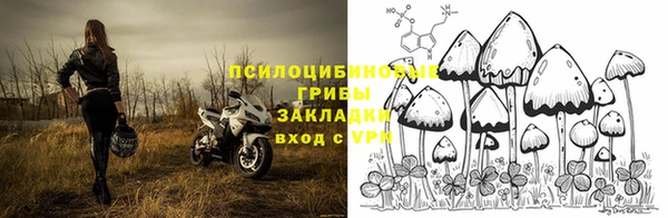 бошки Лабытнанги