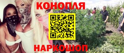 ГАЛЛЮЦИНОГЕННЫЕ ГРИБЫ Апшеронск