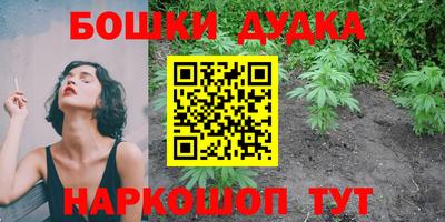 стафф Заводоуковск