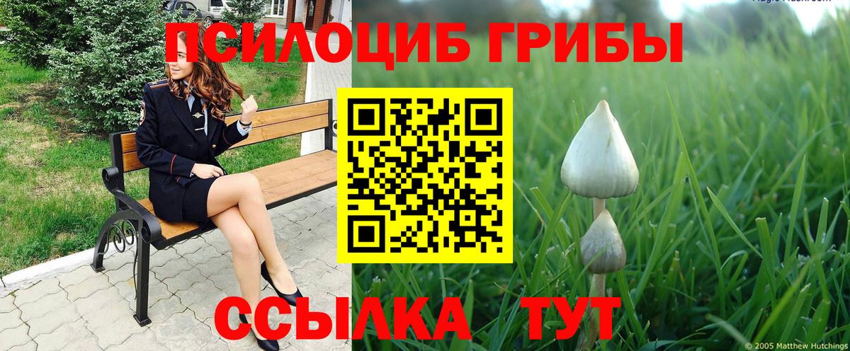 Галлюциногенные грибы мухоморы Нерюнгри