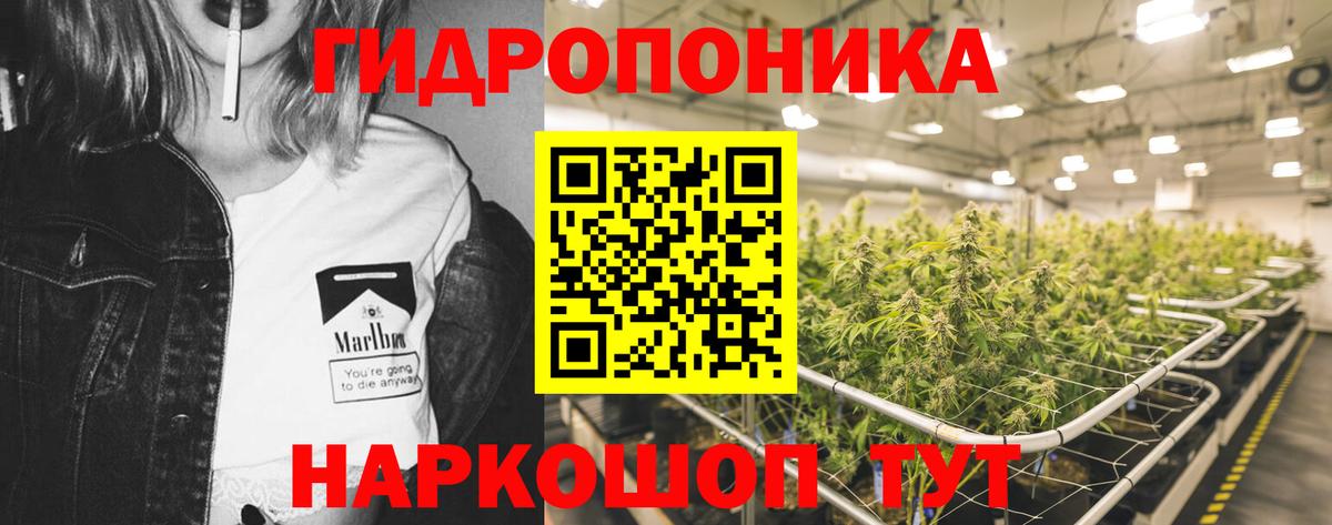 Бошки марихуана Bruce Banner  Каннабис Ganja  Нерюнгри  Вход с VPN  МАРИХУАНА MAZAR 
